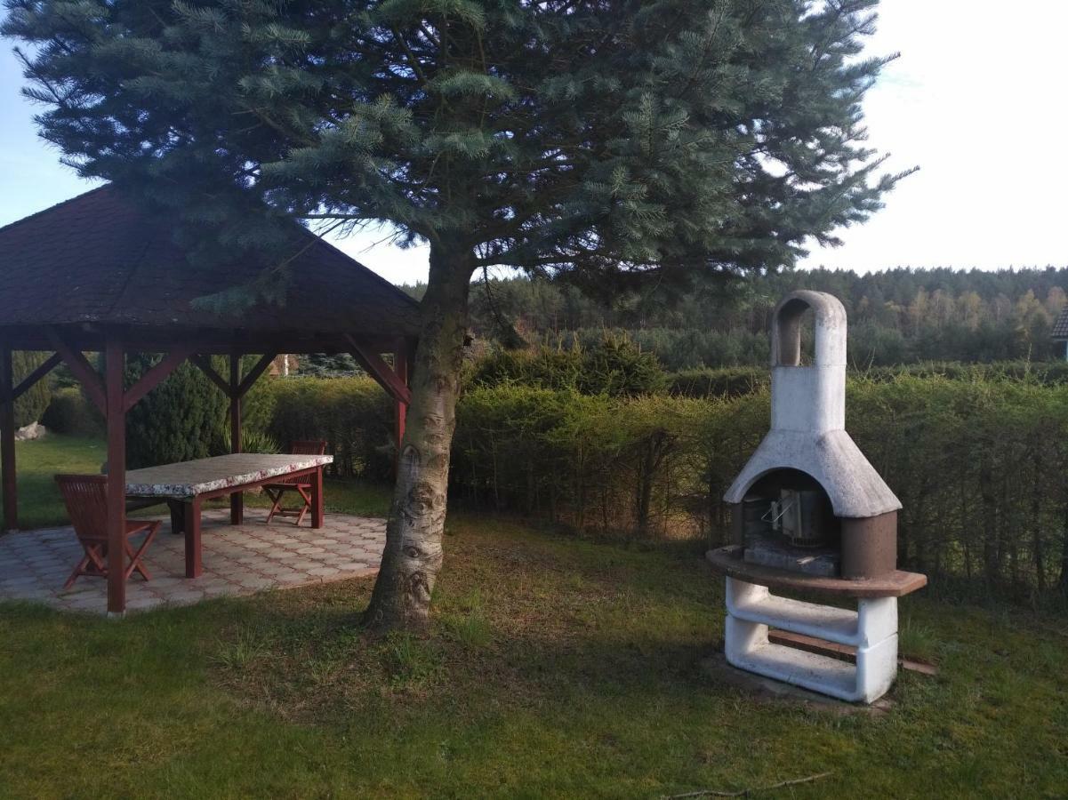Villa Danuta- Wiselka, Direct At National Park, Big Garden, 4 Bedrooms, Private Sauna Bagian luar foto